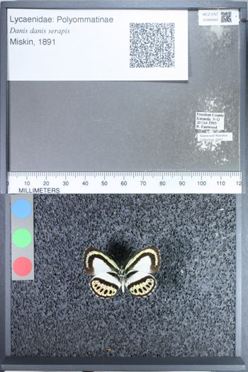 Media type: image;   Entomology 69940
